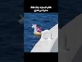 طاقم السفينه ينقذ طفلة صغيرة من الغرق 