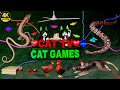 Cat games  ultimate cat tv compilation  entertainment for cats to watch 4k 8hours  