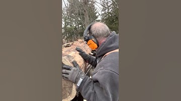 Moving and milling a huge pine log with @Johnlewissawmill