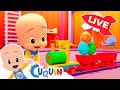 🔴 LIVE 🔴 Learn colors, numbers and shapes with Cuquín | Educational videos for kids