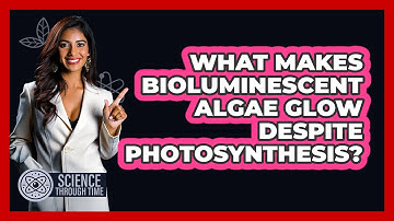 What Makes Bioluminescent Algae Glow Despite Photosynthesis? - Science Through Time