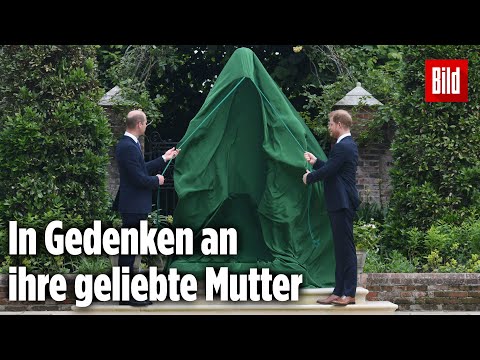 Video: Die Prinzen Harry und William weigerten sich, bei der Jubiläumsveranstaltung von Prinzessin Diana zusammen aufzutreten