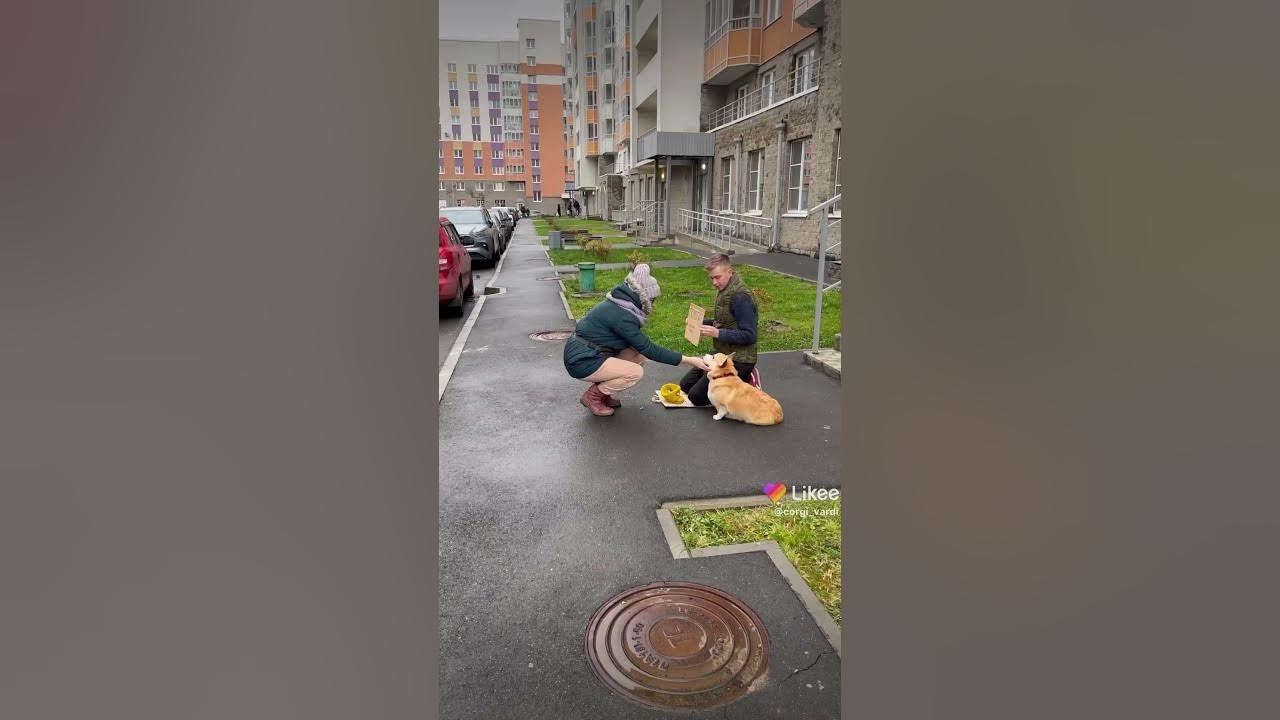 Фото цуефа из лайка 2025
