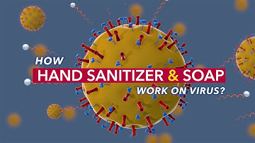 How Hand Sanitizer and Soap Work? (Animation)