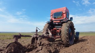 видео: Первая халтура на тракторе Т-40АМ. Вспашка огорода на сороковке!!! картинка: Первая халтура на тракторе Т-40АМ. Вспашка огорода на сороковке!!!