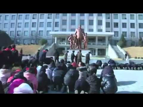 სააკაშვილი VS კიმ ჩენ ირ Georgia VS North Korea - Mass hysteria