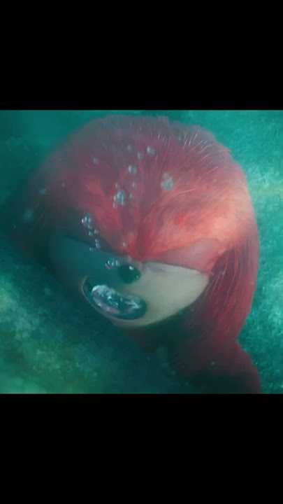 Sonic is terrified of water,but chooses to save Knuckles anyway.#sonicmovie #movie #shorts