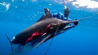 New World Record Spearfishing Striped Marlin