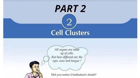 KERALA(SCERT)/8th STANDARD /BIOLOGY /UNIT2/CELL CLUSTERS (PART2)