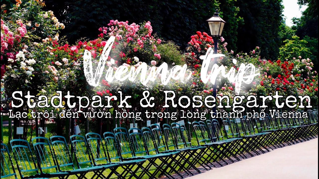 Vienna trip | Stadtpark and Rosengarten in Volksgarten