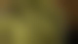 EXPOWEED Killer Buds! Mexico City