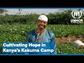Refugee Farm Cooperative: Cultivating Hope in Kenya