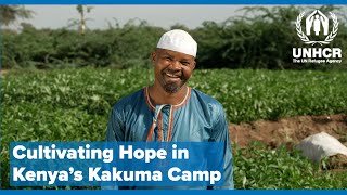 Refugee Farm Cooperative: Cultivating Hope in Kenya's Kakuma Camp