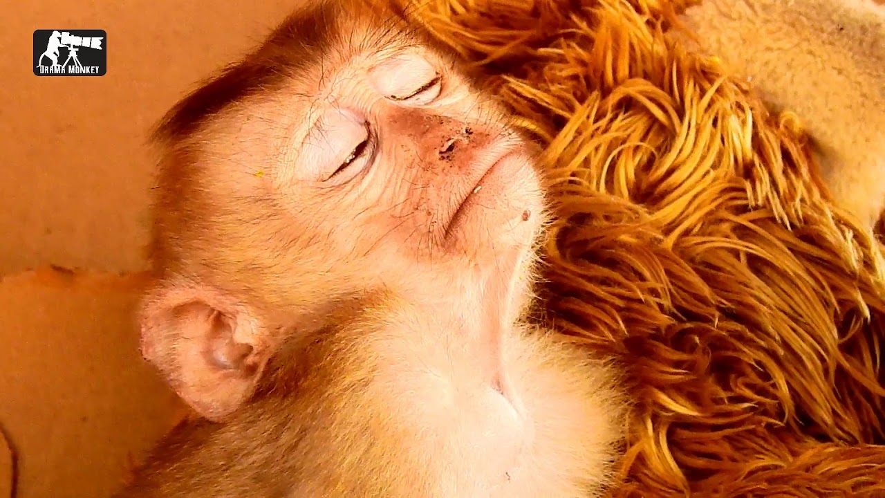 P41.Update orphan Axel look so weak till deep sleep|So pity poor Axel feel loneliness again