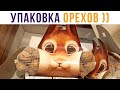 Дизайнеры не зря свои ОРЕХИ ЕДЯТ))) Приколы | Мемозг #502