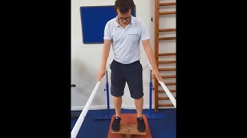 Side to Side Balance Board