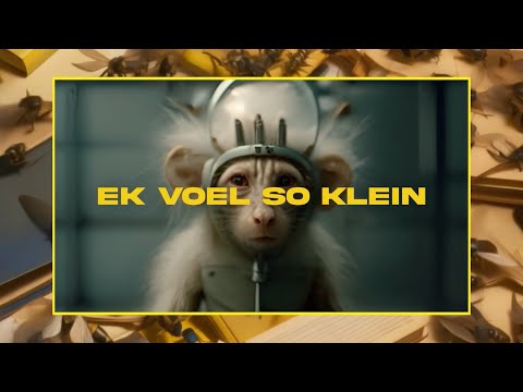 Fokofpolisiekar | Ek voel so klein (visualiser)