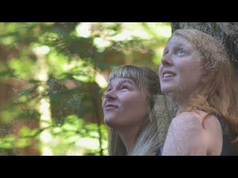 360 Canopy Tour - Introduction (AD)