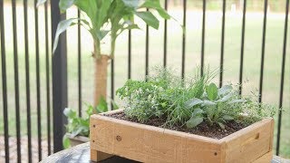 Herb Boxes