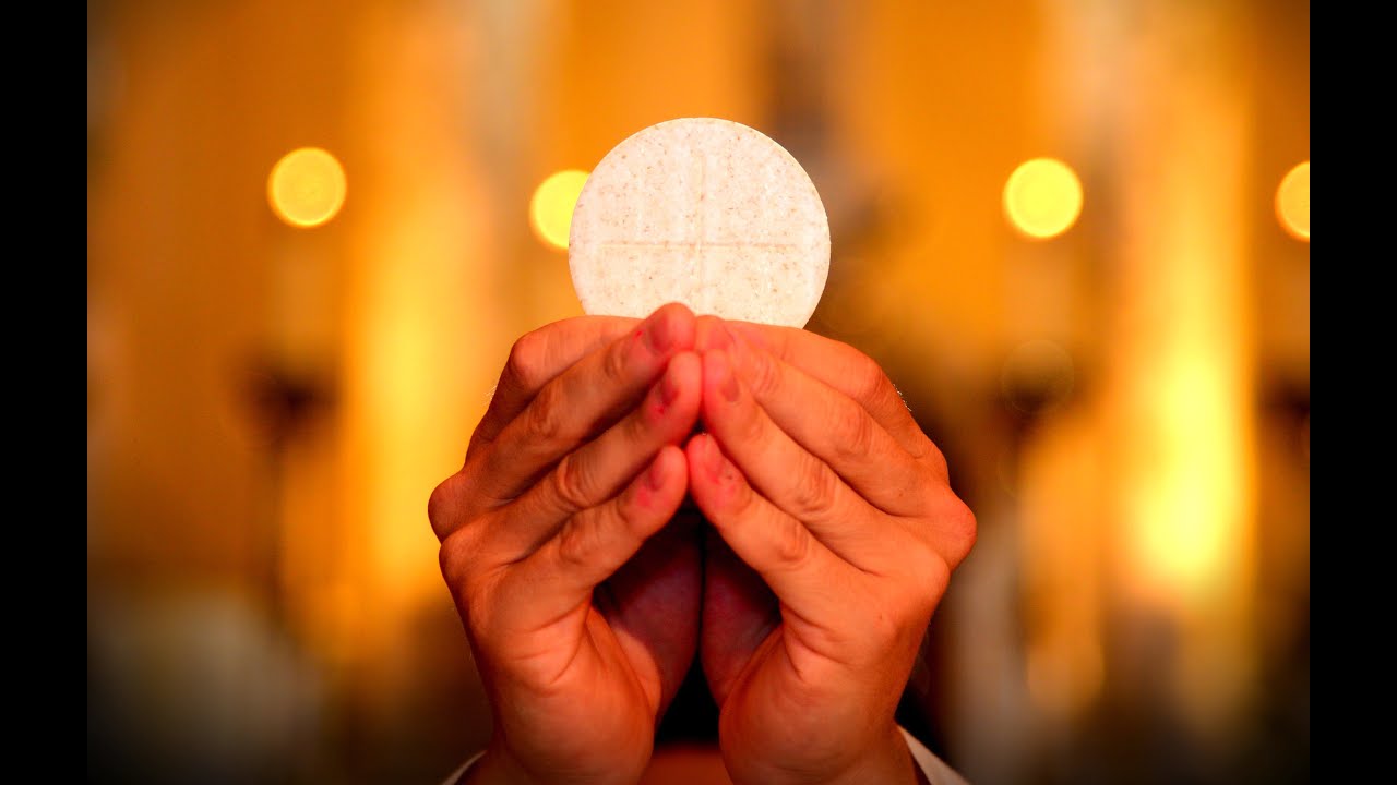 August 11, 2024 10:00am Holy Eucharist for the Twelfth Sunday after ...