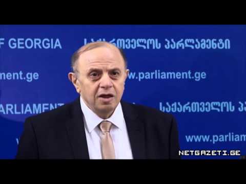 ბერძენიშვილი პირადი ცხოვრების კადრების გავრცელებაზე