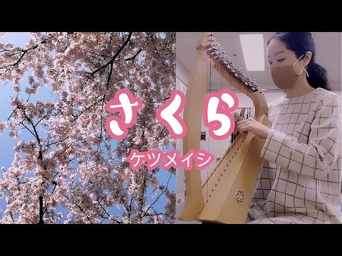 19弦ototsubu harpでカバー 「さくら／ケツメイシ」 - YouTube