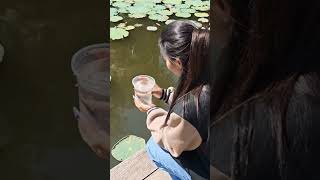 Tajka moczy rybkę #podróże #travel #azja #tajlandia #thailand #vlog