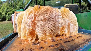 80 Pounds of Liquid GOLD  Honey Harvest 2024