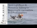 Quick Lightroom &amp; Photoshop Editing for Beginning &amp; Intermediate Bird Photographers