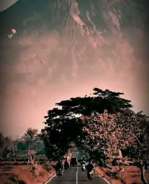 Tunggu aku kembali