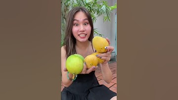 Ăn xoài chín cây tại gốc có ngon hơn không? | Ngọc Thu Hằng | Ngọc Thu Hằng Official