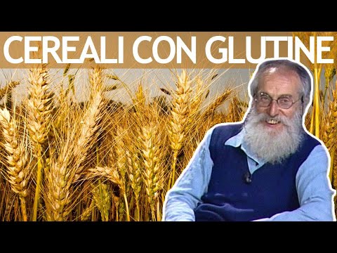 Video: C'è glutine nell'orzo d'orzo?