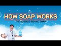 HOW SOAP WORKS | The Science of Soap | Application of Molecular Polarity | Physical Science