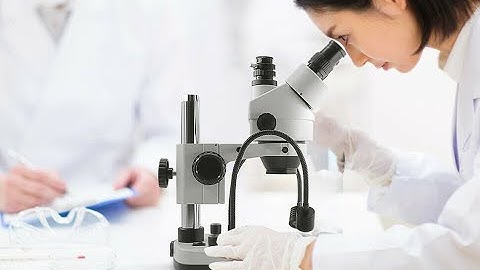 SWIFT 360° Lab 7X-45X Trinocular Zoom Stereo Microscope Gooseneck LED light WF10X SWIFT S7-TGL-CA05