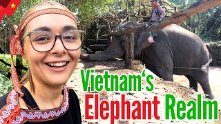 🇻🇳 Dak Lak: Vietnam's Coffee Capital and Elephant Realm | Vietnam Travel Ep: 32 ☕️🐘