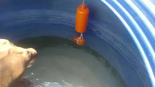 Pano magkabit ng floater switch sa pump at overhead tank