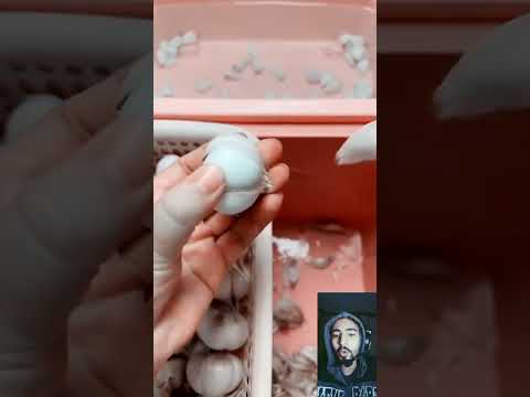 اداه تقشير الثوم