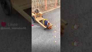 14 Июня 2023 Г.