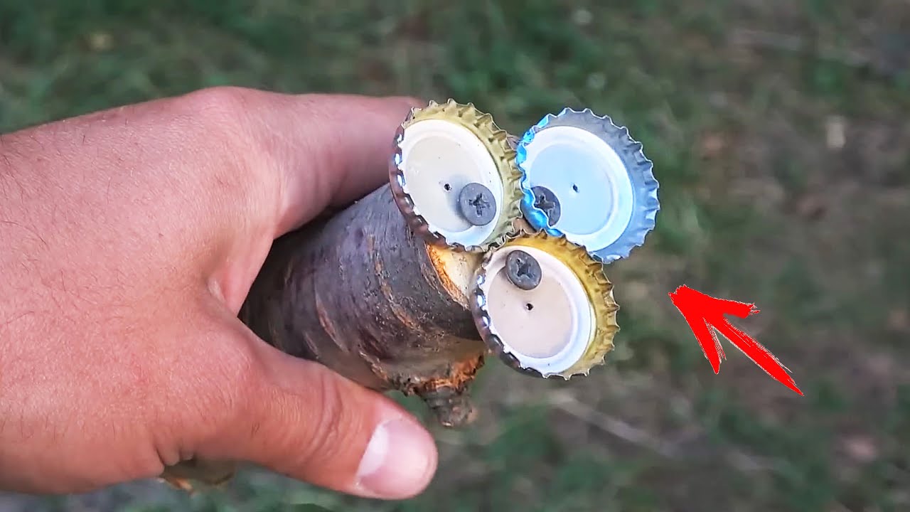 Latest Title & Thumbnail
