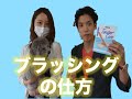 【犬のブラッシングの仕方】お手入れ動画 How the dog of brushing