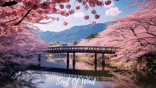 Transform Your Day with Soothing Music for Instant Relaxation. by Soul Of Wind 32 views 4 weeks ago 3 hours, 5 minutes