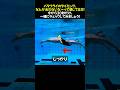 バタフライのタイミングが合わない方は、30秒だけ集中してご覧ください！