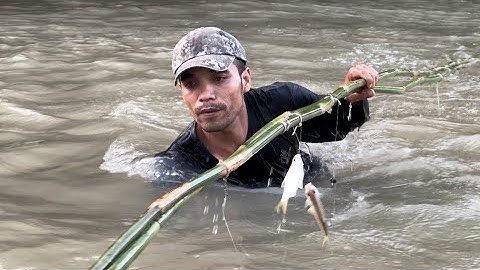 Thử Thách 72h Sống Trong Rừng Tìm Thức Ăn Camp Fishing survival
