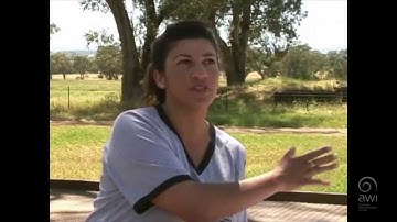 AWI Wool Handling - Wool Preparation - Point of View - Work Flow