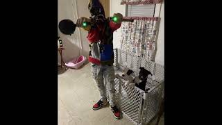 [FREE] Splurge Type Beat 2022 - Lavish