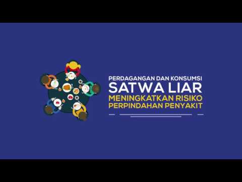 Video: Menerapkan Pendekatan One Health Untuk Menghadapi Ancaman Penyakit Zoonosis Yang Muncul Dan Muncul Kembali: Pelajaran Dari PREDICT