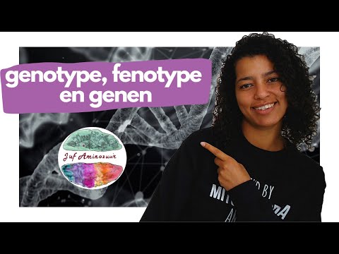 Video: Maïs Genomen Naar Velden (G2F): Veldseizoenen 2014–2017: Beeldgegevenssets Genotype, Fenotype, Klimaat, Bodem En Ingeteelde Oor