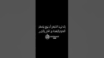 ماهر المعيقلي - سورة المائدة ( برواية حفص عن عاصم ) الأية 91