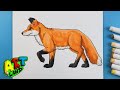 How to draw a fox