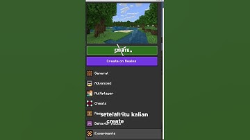 Ini Cara Mengkatifkan Vibrant Visual #minecraft #minecraftpreview